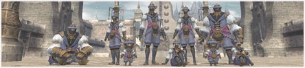 Bluemage Groupshot
