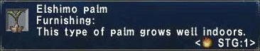 Elshimo Palm