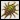 Shell Bug