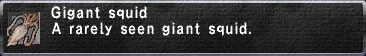 File:Gigant squid.jpg