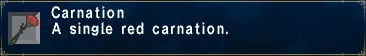 Carnation