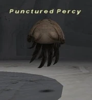 Punctured Percy