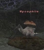 Mycophile