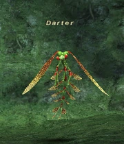 Darter