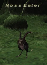 Moss Eater