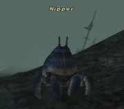 Nipper