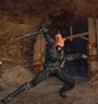 Ninja