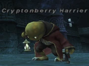 Cryptonberry Harrier