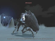 Weeper