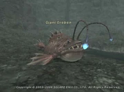 Giant Orobon