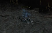 Shore Sahagin