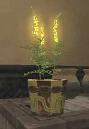 An wooden flowerpot.