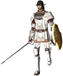 Paladin Artifact Armor
