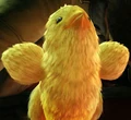 http://images1.wikia.nocookie.net/finalfantasy/images/thumb/d/d4/FFXIII-baby-chocobo.jpg/120px-FFXIII-baby-chocobo.jpg