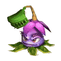 Waagsac