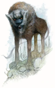 A leucrotta