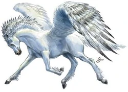 A pegasus