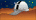 image:b.copernicus_observatory.classic.png
