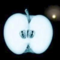 File:SquareD.jpg