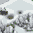 Image:Frozen_Wastes.png