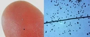 RFID modules