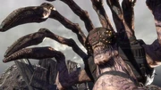 A corpser