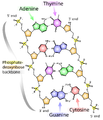 Thumbnail for version as of 23:16, November 14, 2007