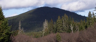 Image:Mount_Carleton_small.PNG
