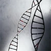 Helix