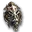 Bouclier squelette