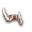 Mandibule moussue