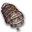 Carapace fétide