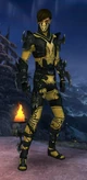 Armure de Kurzick pour homme Assassin