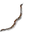 Arc long naga