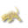 Rat céleste miniature