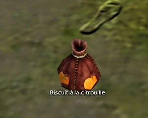 Biscuit à la citrouille