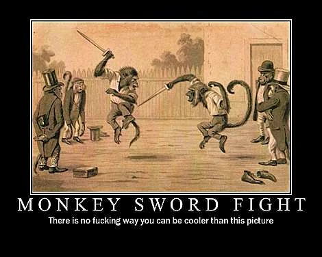 Image:monkey fight.jpg