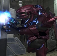 For the Sangheili!