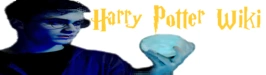 File:Wiki-logo.png