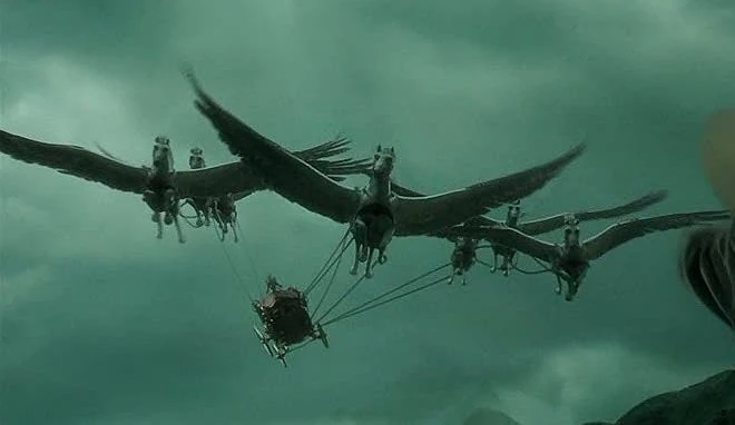 File:Beauxbatons carriage GOF 1.jpg