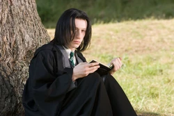 Snape in his fifth year.