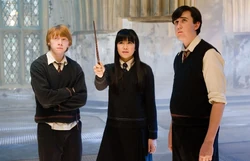 Ron Weasley, Cho Chang, and Neville Longbottom practising during a DA session.