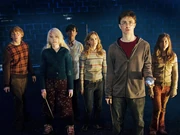  Ron,  Luna,  Neville,  Harry,  Hermione and Ginny.