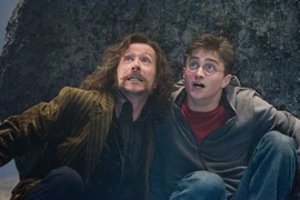 Sirius with Harry in battle.