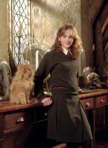 Hermione Granger and her pet Crookshanks.