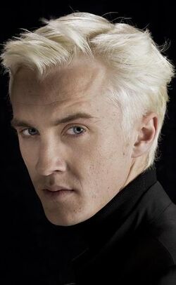 http://images1.wikia.nocookie.net/harrypotter/ru/images/thumb/5/56/Draco_Malfoy_Half-Blood_Prince_Profile.jpg/250px-Draco_Malfoy_Half-Blood_Prince_Profile.jpg