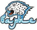 Barys Astana(Барыс Астана)
