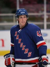 marc staal panorama