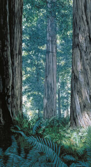 Endor detail