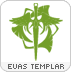 Image:Elf evas templar.png